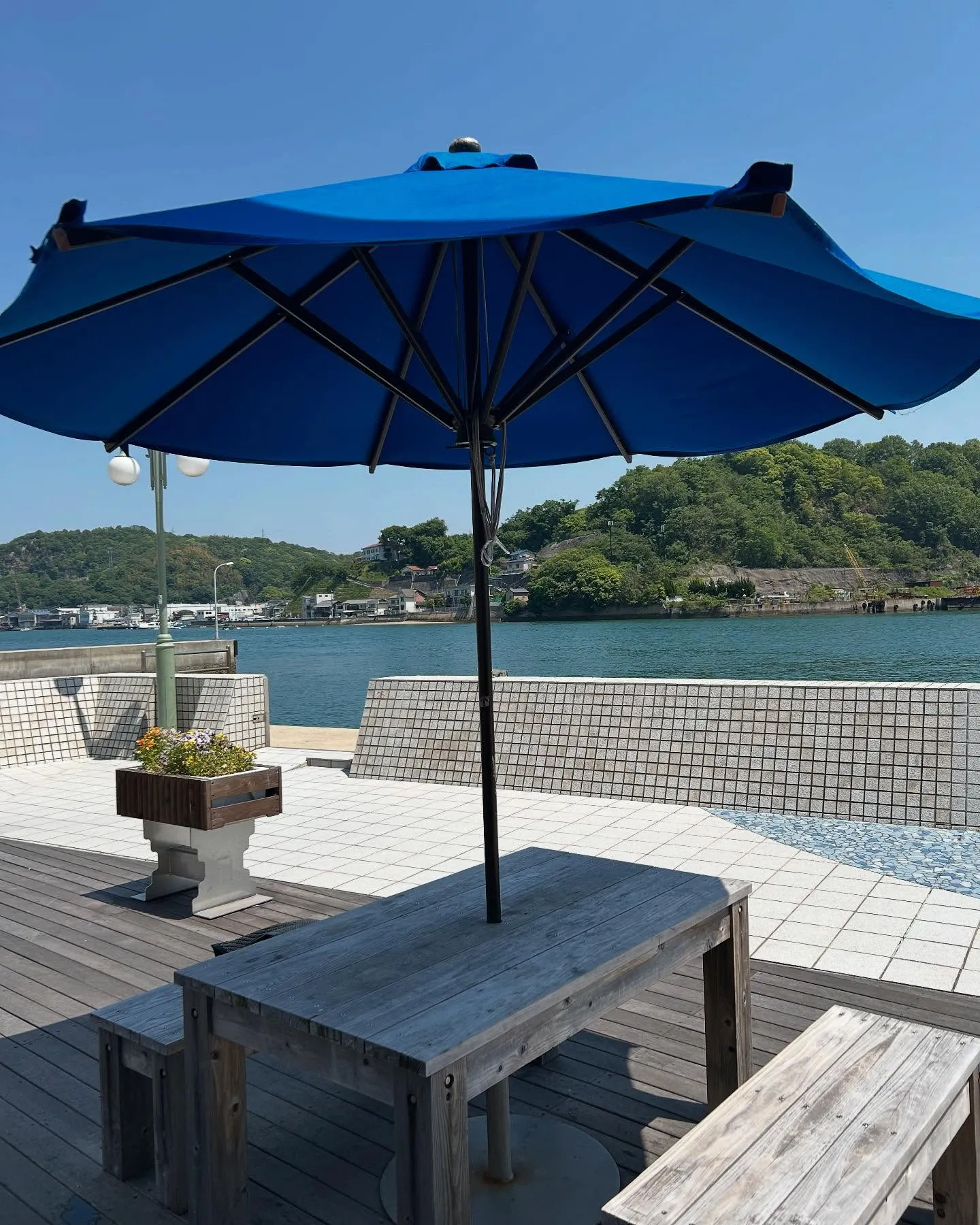 昼下がり、お店前のウッドデッキでちょっとのんびり😌